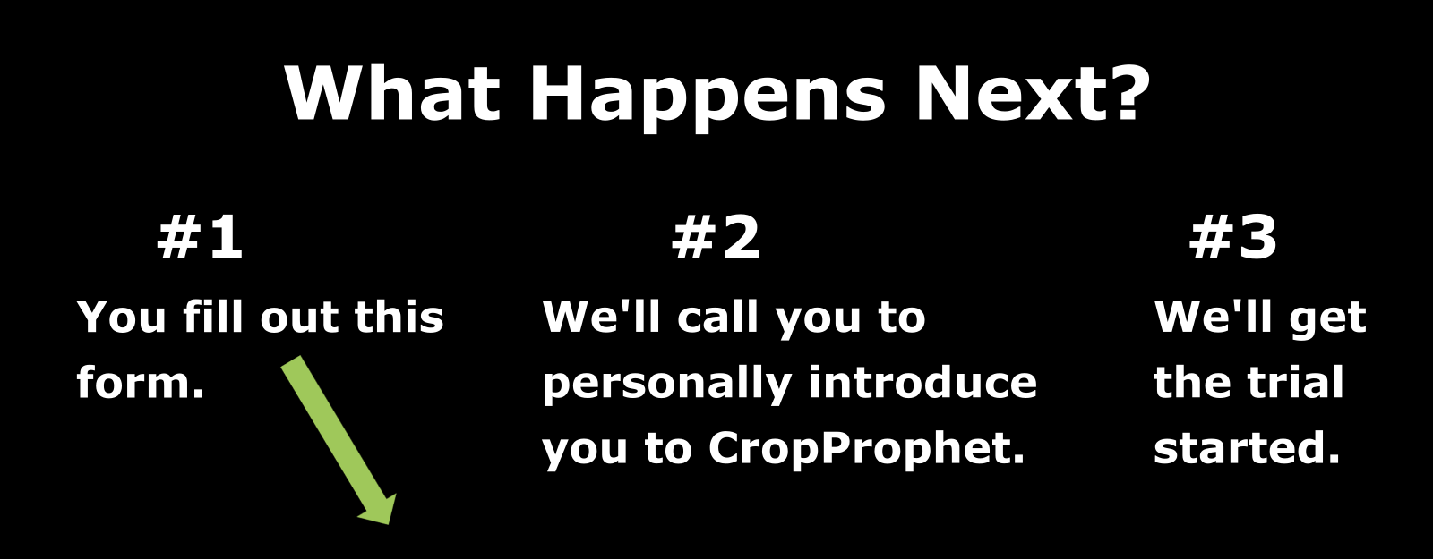 CP_Free_Trial_What_Happens_Next